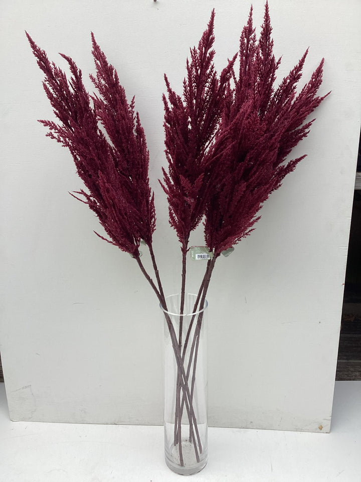 Red Pampass Grass