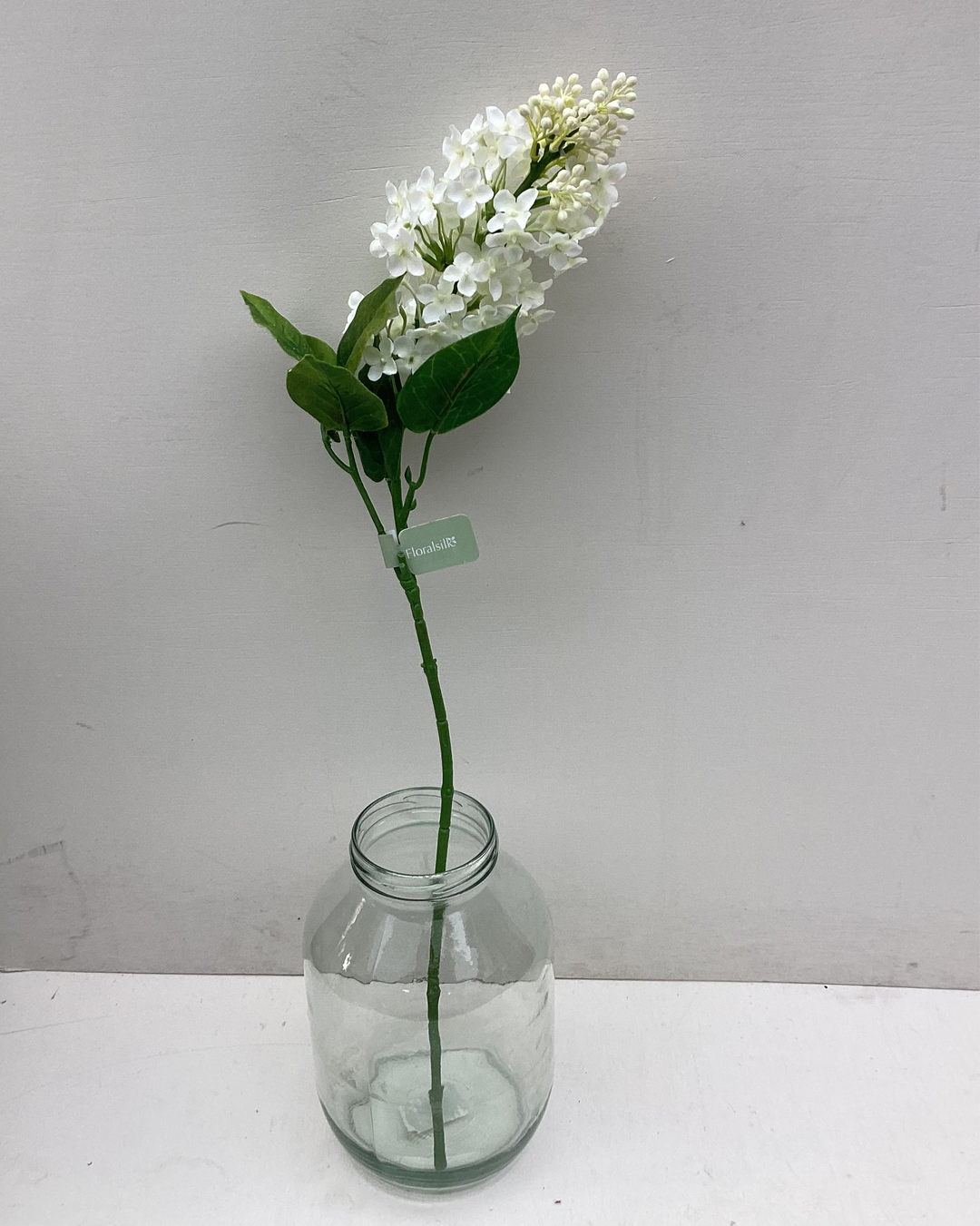 White Lilac