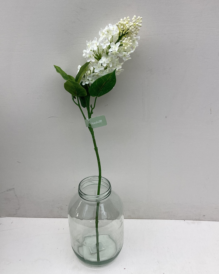 White Lilac