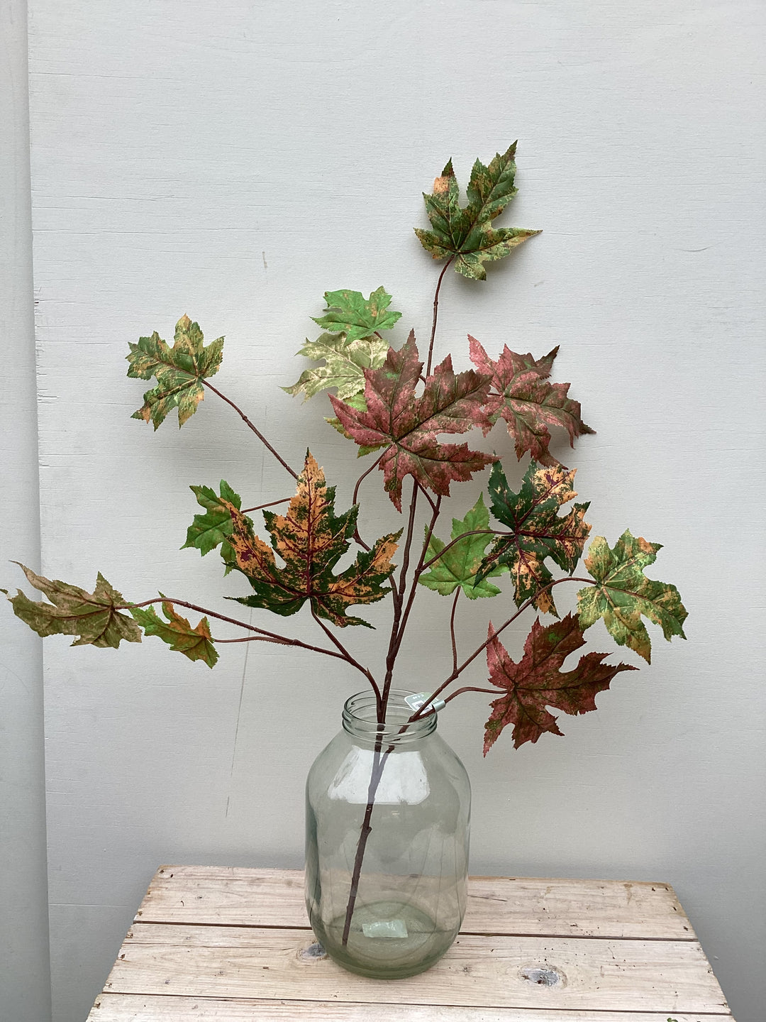 Maple Leaf Spray