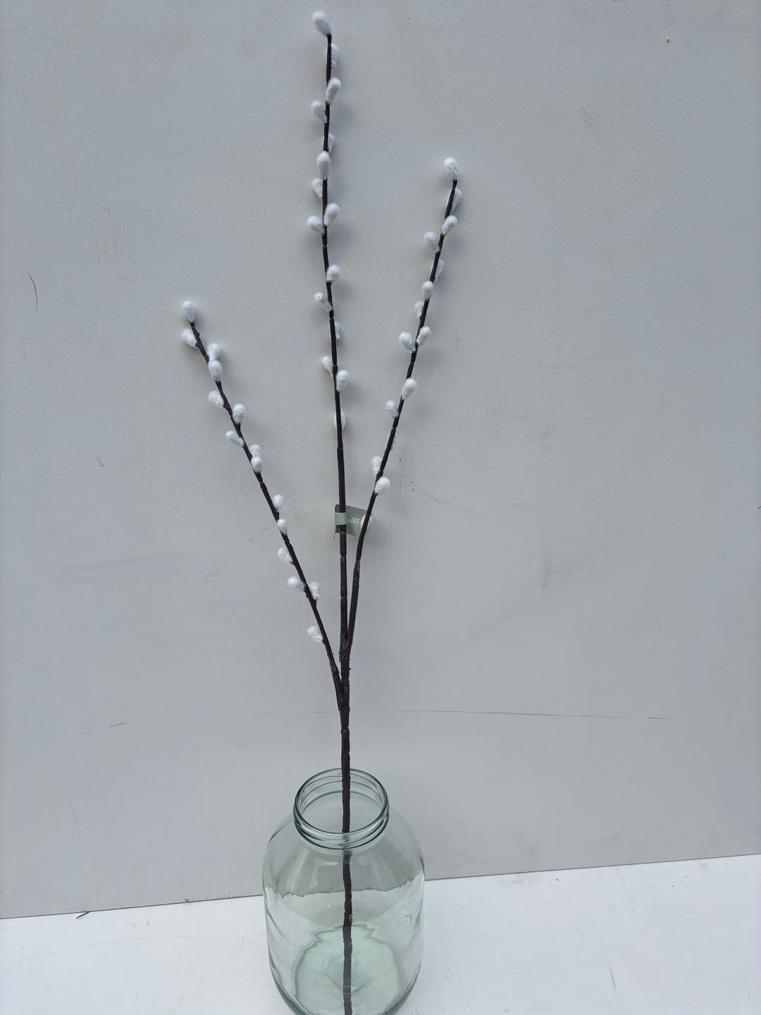 Willow Spray