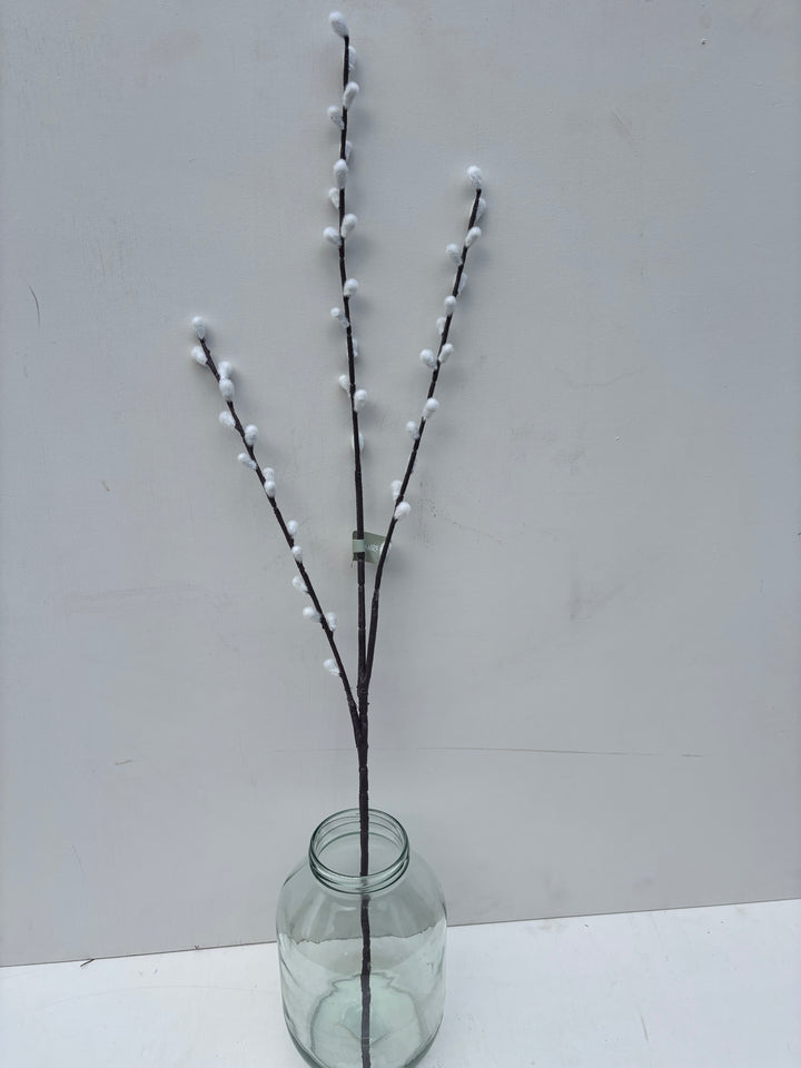 Willow Spray