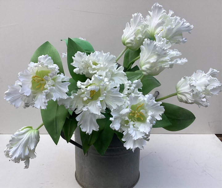 White Parrot Tulips