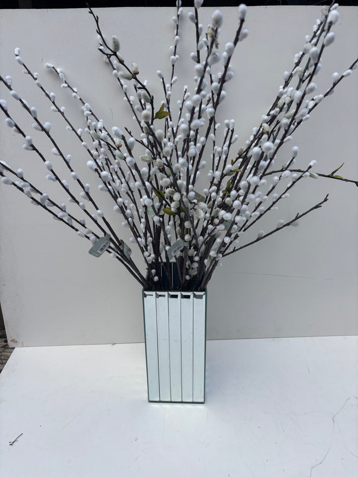 Willow Spray