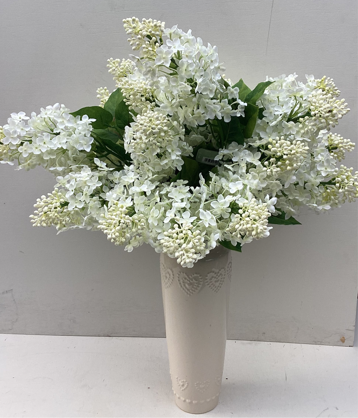 White Lilac