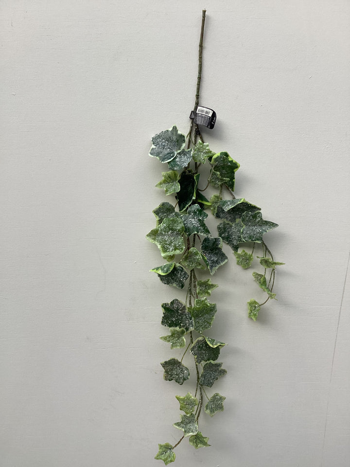 Ivy Spray