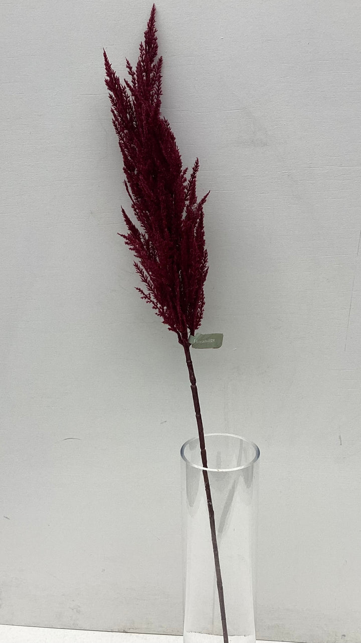 Red Pampass Grass
