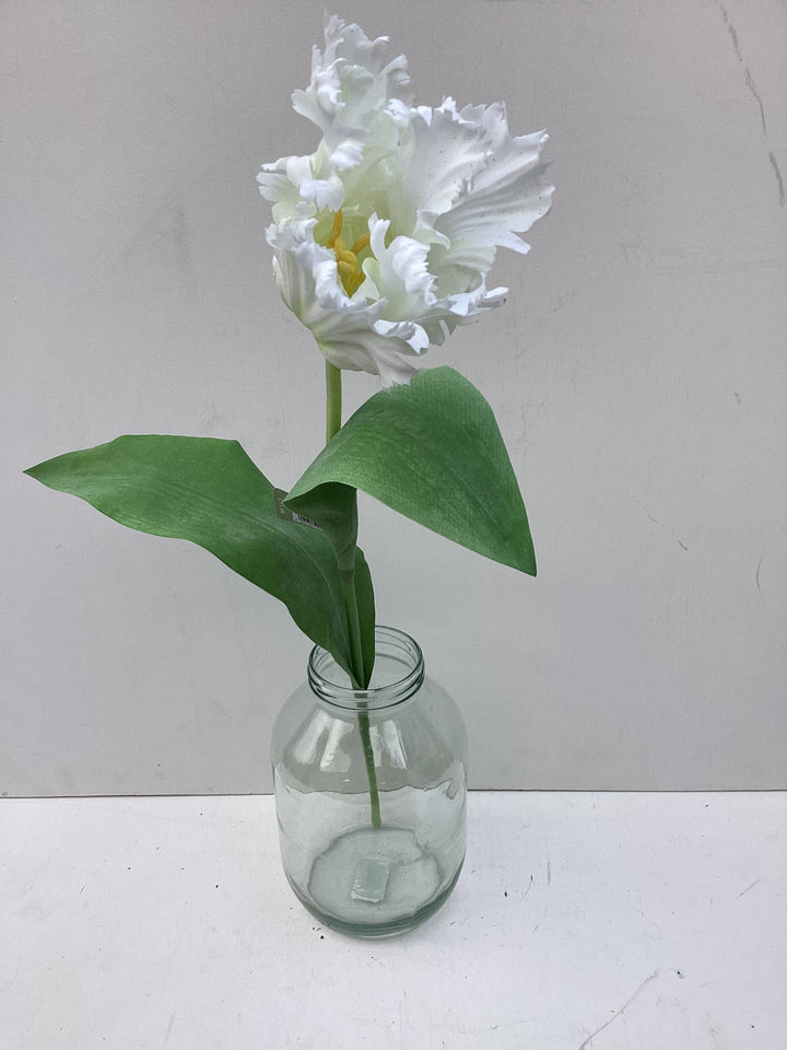 White Parrot Tulips