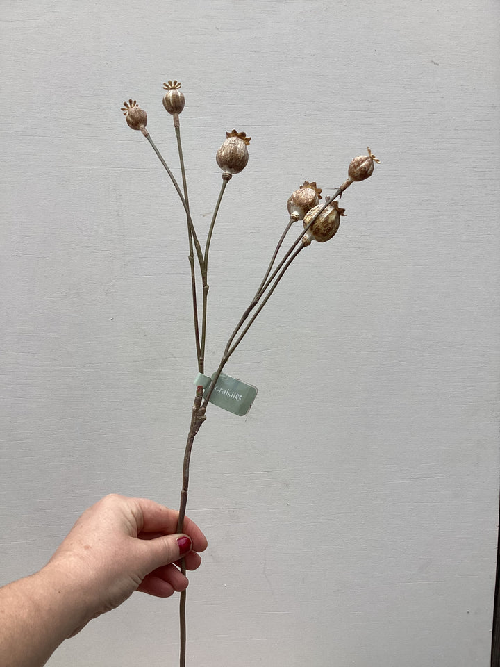 Poppy Head Spray